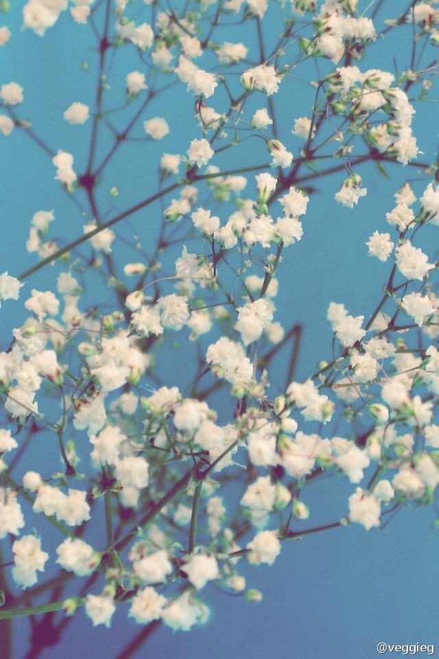  2000����ڷ��������˾ִ��ת��