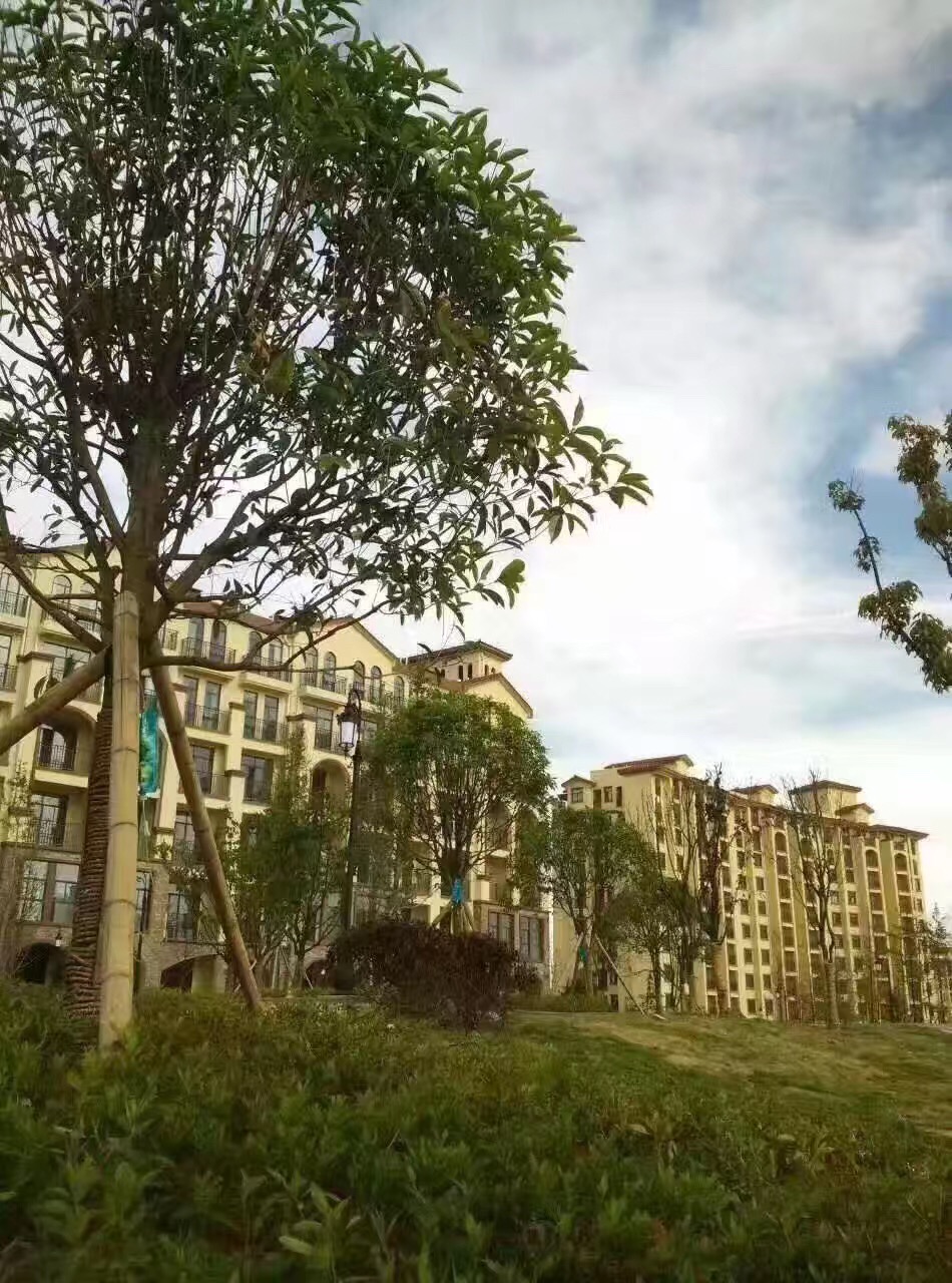  ��������������������ֿ�