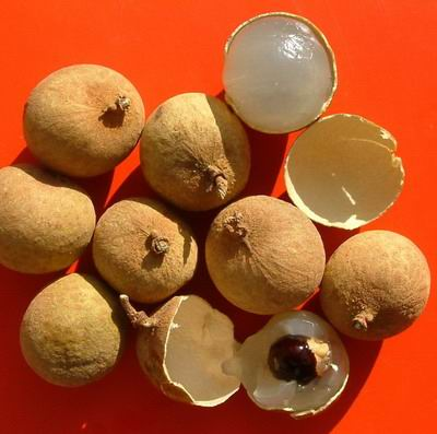 �����ز�֮����