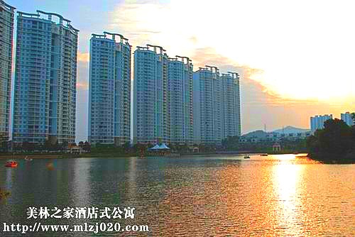  ���ݽ��׻�Ƶ깫Ԣ�����������ӭԤ��