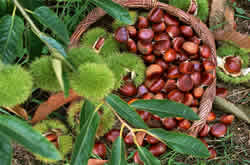 ��ˮ����