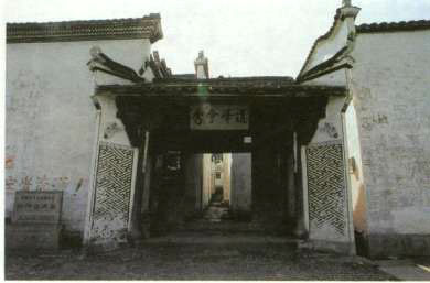 ������Ҷ������