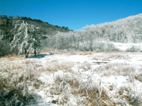 �ٰ���ɽ��ʯ��