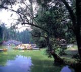 ��������ҤַȺ