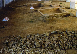 ���ݻ�����Ҥַ