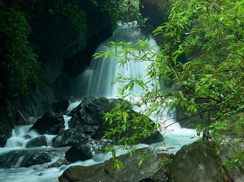 �𰲴�ƺ��ַ