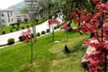 ���ݾ�ɽɭ�ֹ�԰