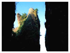 �������㵴