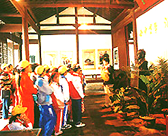 ��������ά�ʾ�