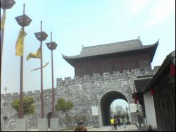 �����ιٹ���