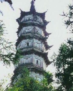 �����ƺ���