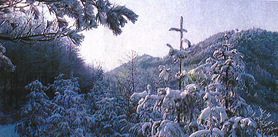 ���ݱ���