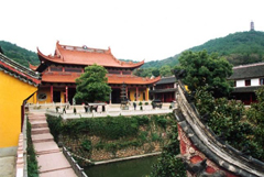 ���ݵ���ɽ������