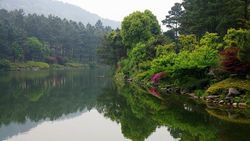 ��������԰