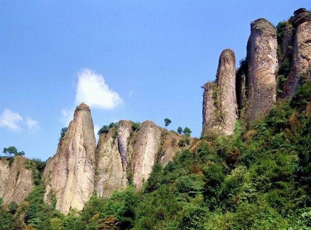 �����²������ɹ�