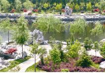 �𻪽�����԰