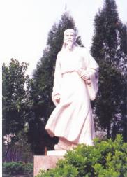 ���������԰