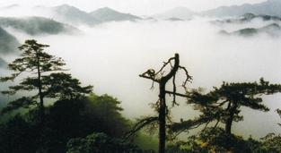 ��С��ɽ�������