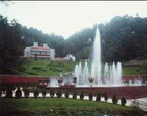 ���й��軨�Ļ�԰