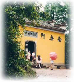 ���ݿ�������