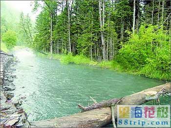 �齭��̳��