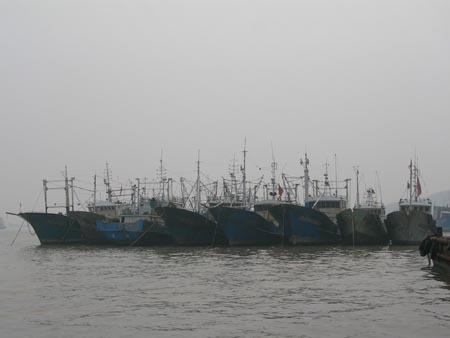 ��ɽ��������