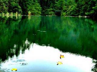 ��ˮ����ɭ�ֹ�԰