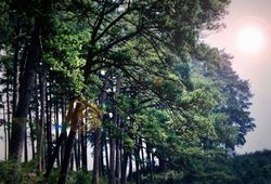 ��ˮ������������