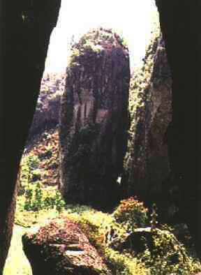 ̨�ݺ�����