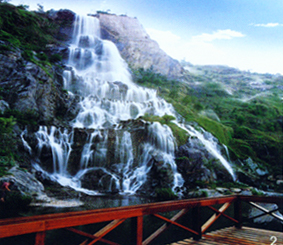 ̨�ݰ��Ʒ��ٹ�԰