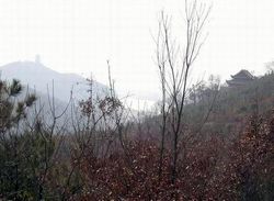 ����ɽС�Ż�