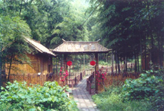 ����ɽ���