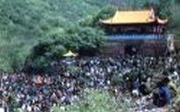 �����Ų���