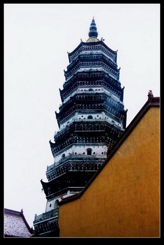 ����ӭ���������