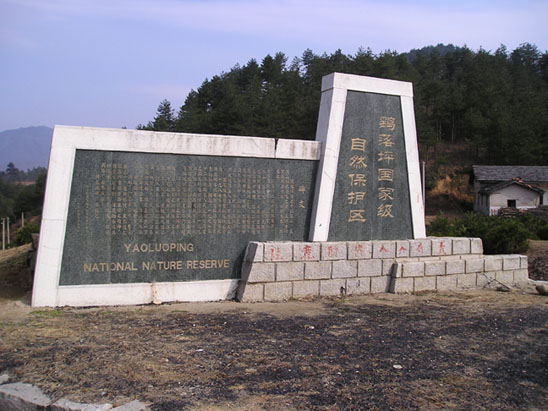 ��������ƺ