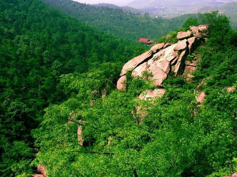 �������ɽ