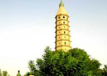 �����£�������