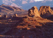 ս���س���