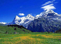 ��ɽ��Ȼ������