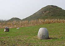 ��Ȫ����ַ