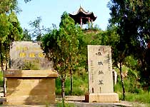 ����Ĺ������Ĺ