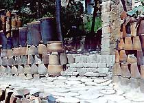 ��¯����