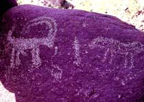 �˶����һ���ˮϵͼ