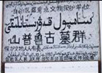 ɽ��³��ĹȺ