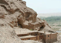 ��ľ����ַ