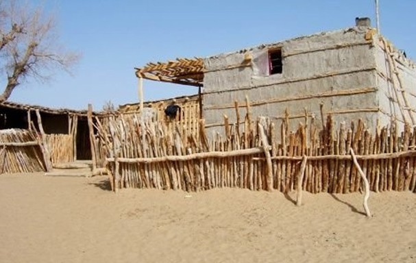 ��������״�