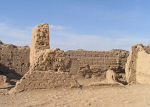 �����չų�