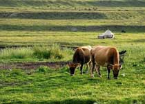 �Ʋ�����ԭ