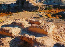 ����ӷ����ַ