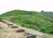 �����ƾ�